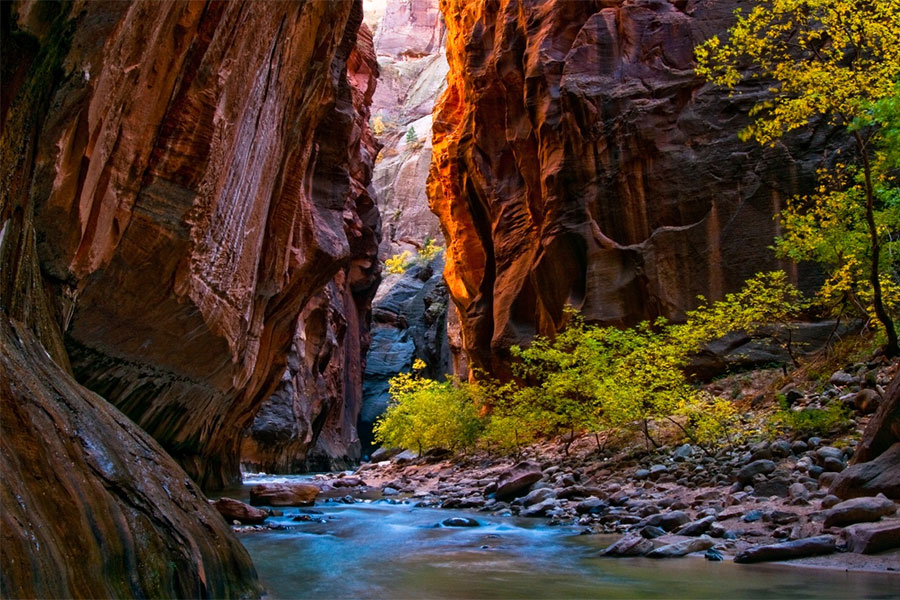 Utah, Arizona, Nevada Tour:  Zion, Bryce, Antelope national parks, Las Vegas