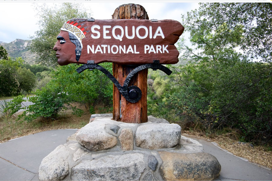 Sequoia National Park: Vương quốc của những gã khổng lồ