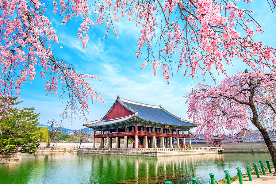 South Korea & Japan: Beautiful Asia