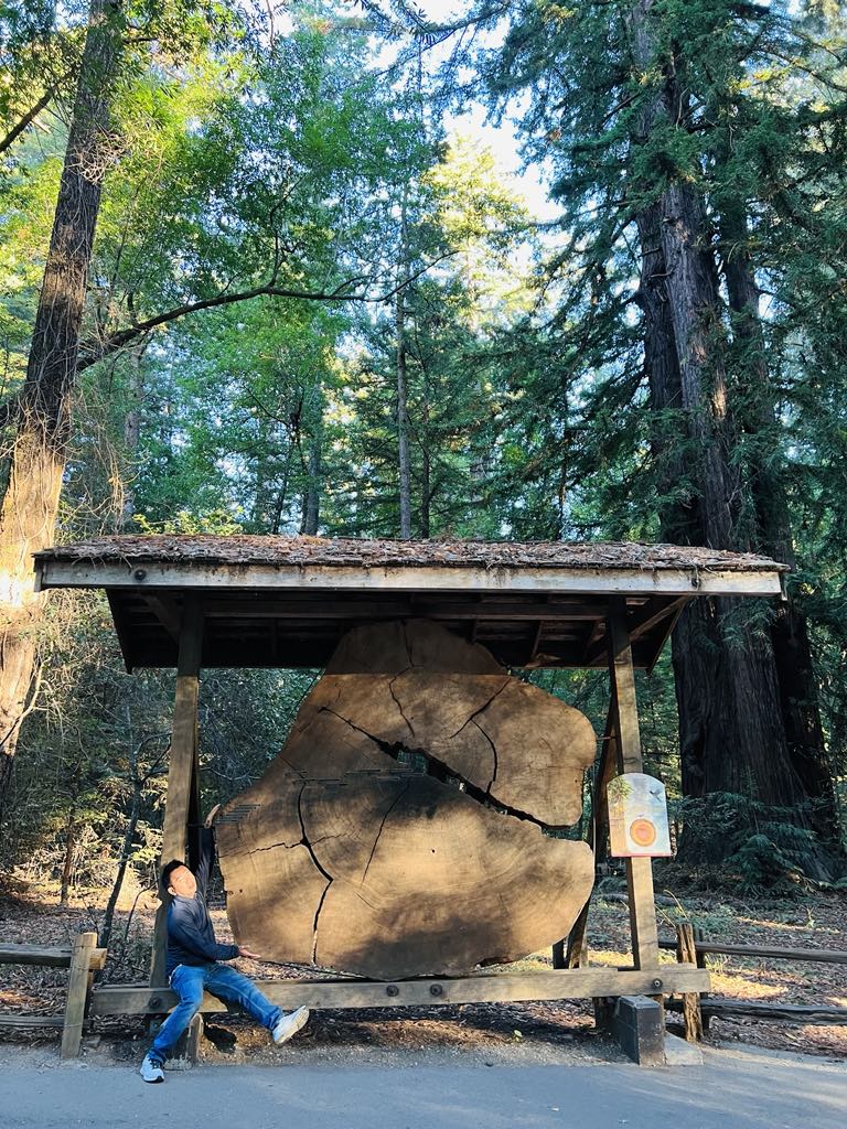 Gilroy Garlic Festival - Santa Cruz - Henry Cowell Redwood State Park