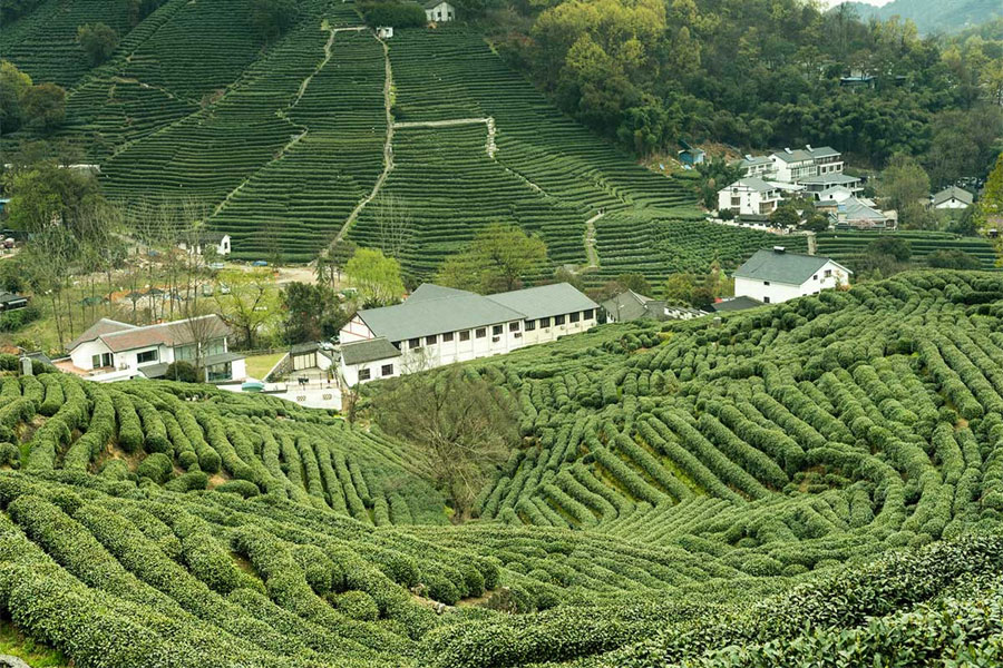 China - Beijing - Shanghai