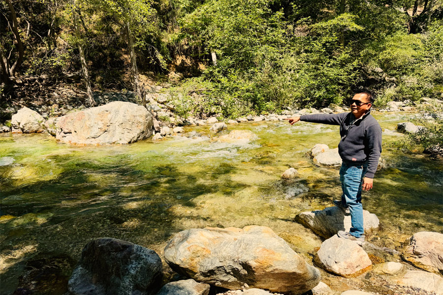 Big Sur: Hái Cherry - Bixby Creek - Pfeiffer Big Sur State Park 